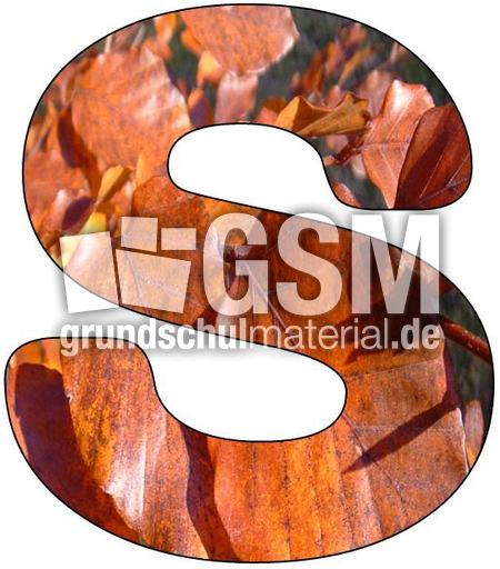 Herbstbuchstabe-S.jpg